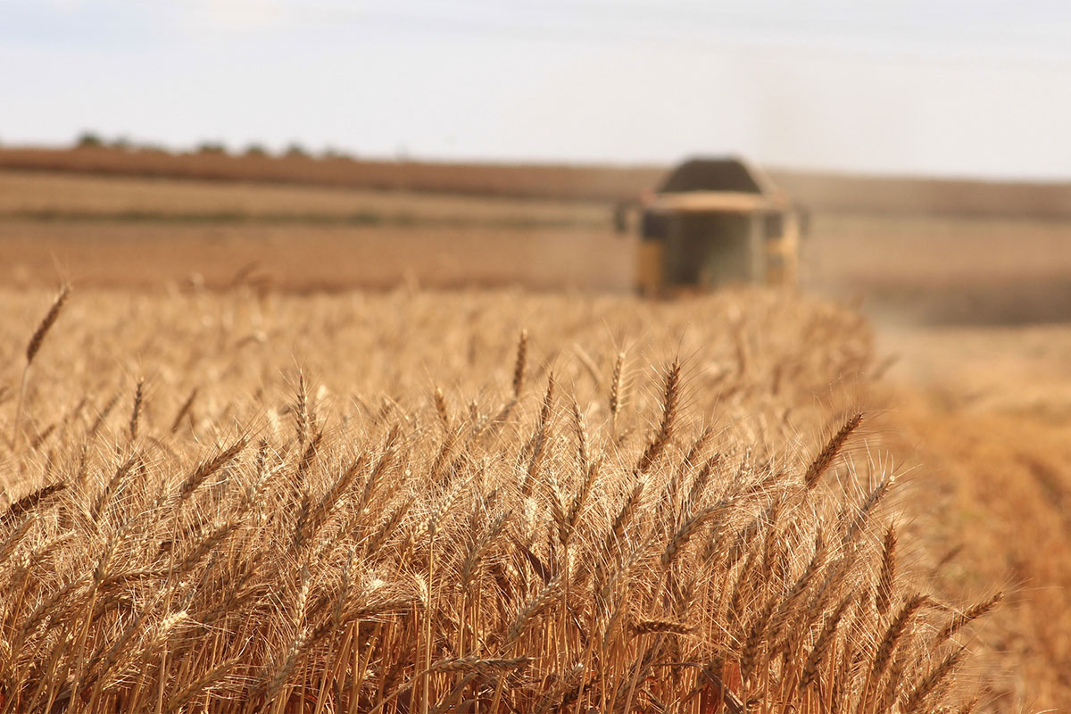 Grain prices have improved…….