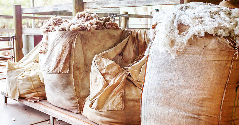 Wool market rises from the ashes